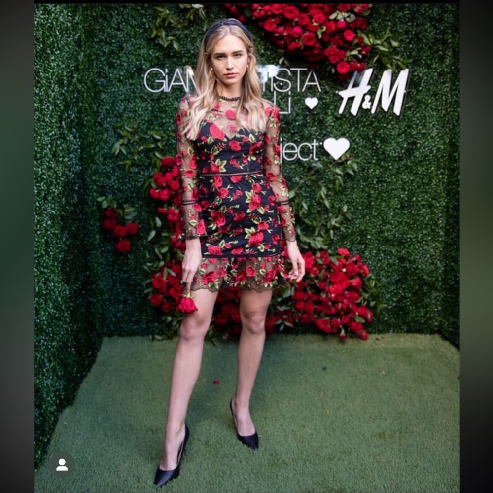 Beautiful rose dress by Saylor NY - Picture 6 of 10